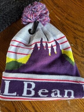 L.L. Bean Purple Multicolor Pom Pom women’s Knit Beanie